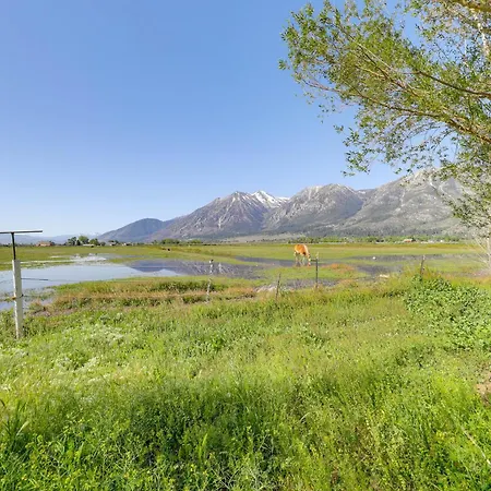 Sierra Nevada Mtn Views Gardnerville Getaway